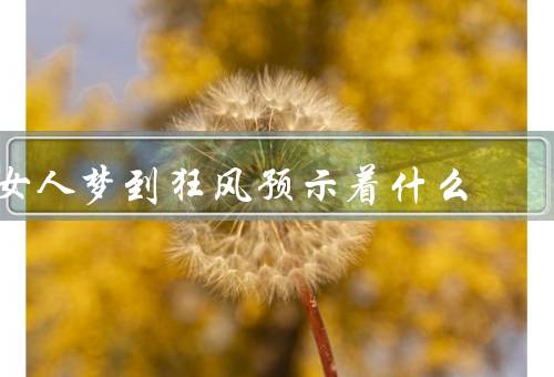 女人梦到狂风预示着什么，潜意识的情绪释放／生活中的不确定性