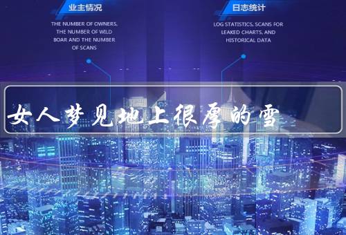 女人梦见地上很厚的雪