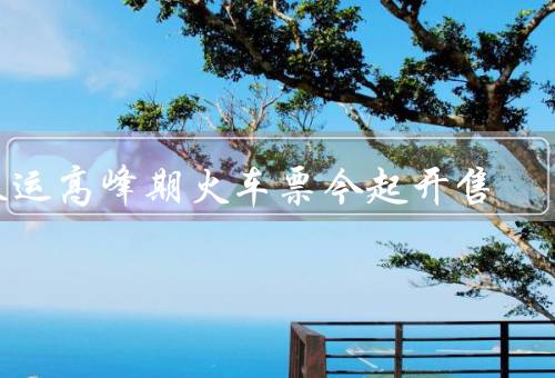 春运高峰期火车票今起开售，火车票抢购热潮再起
