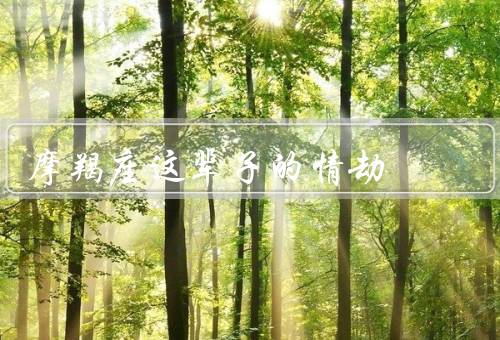 摩羯座这辈子的情劫（青涩的初恋／激情与现实的矛盾）