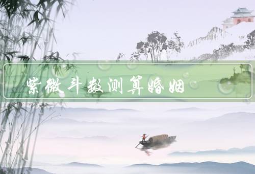 紫微斗数测算婚姻，宫、月老星、运势