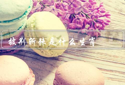 披荆斩棘是什么生肖，老虎／龙／猴子