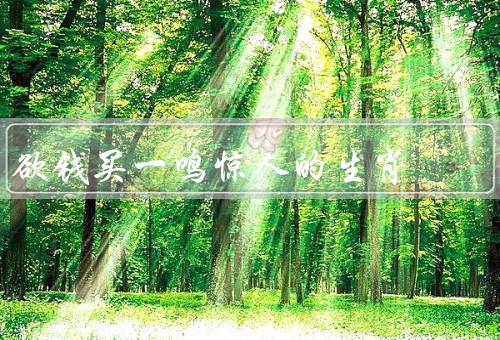 欲钱买一鸣惊人的生肖，属龙／蛇／猴