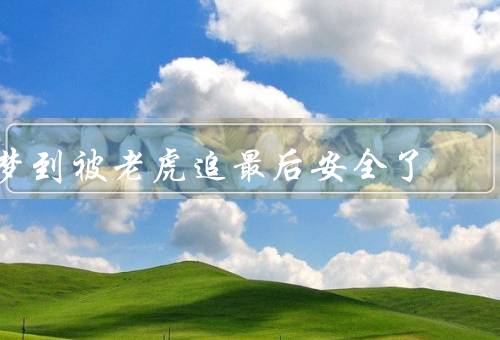 梦到被老虎追最后安全了（逃亡开始／意外的转机／找到出口）