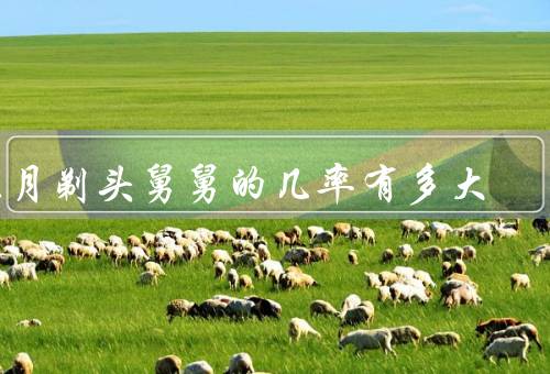 正月剃头死舅舅的几率有多大（剃头与亡的关联、迷信与科学的冲突）