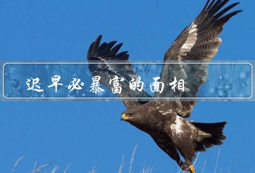 迟早必暴富的面相（财富、人的性格、局限性）