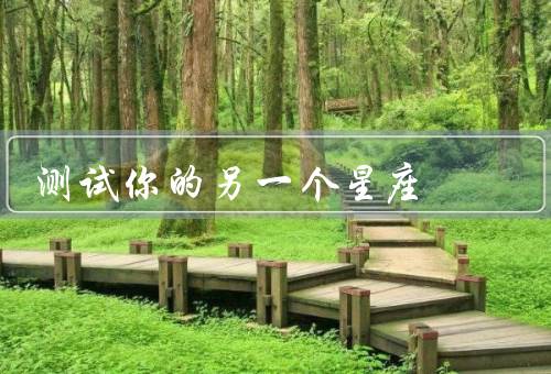 测试你的另一个星座（另一个星座／结果／总结）