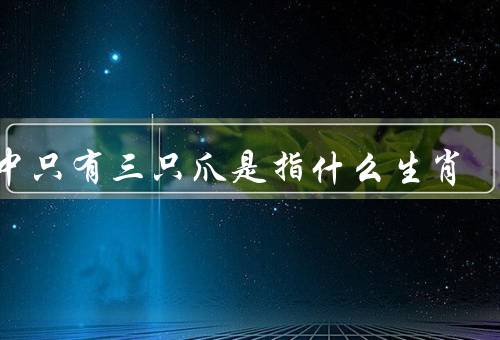 畜中只有三只爪是指什么生肖，特征、龙年意义、象征意义