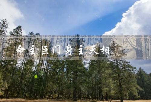 命主巨门身主天相（影响）