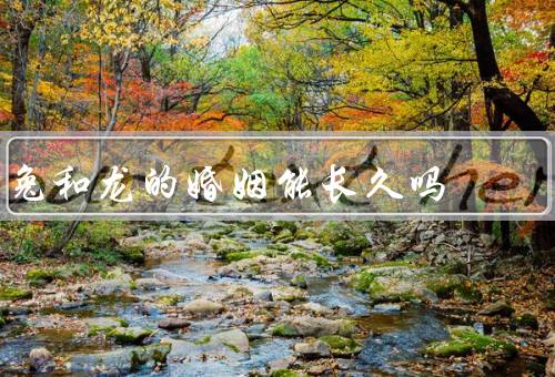 兔和龙的婚姻能长久吗，兔的特点／龙的特点／兔和龙的婚姻