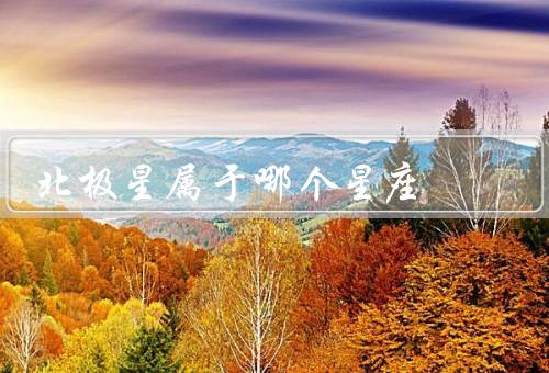 北极星属于哪个星座