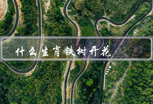 什么生肖铁树开花（传说起源／寓意与象征／启示与反思）