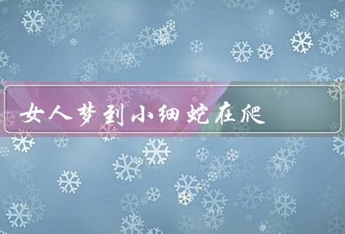 女人梦到小细蛇在爬，梦见小细蛇在爬的象征、情感关系