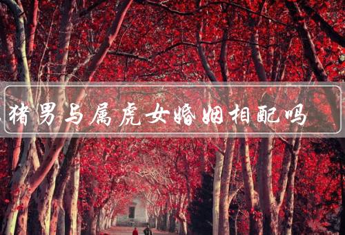 属猪男与属虎女婚姻相配吗（相处之道／互补之处／应对挑战）
