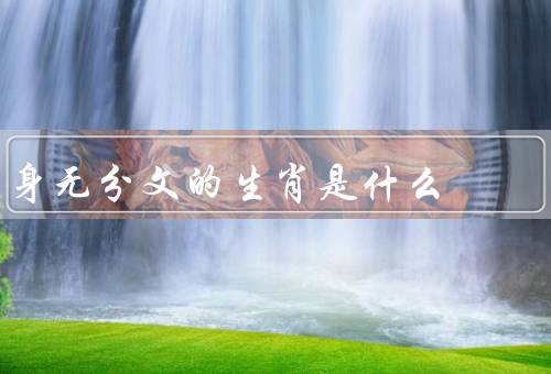 身无分文的生肖是什么，鼠／虎／猪