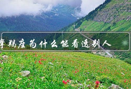 摩羯座为什么能看透别人，直觉力敏锐、深思熟虑、丰富的人生经验