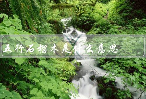 五行石榴木是什么意思，含义、木在中华文化中意义、应用