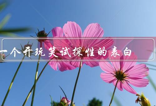 一个开玩笑试探性的表白（突然变得很暧昧、暗示他对我有意思）