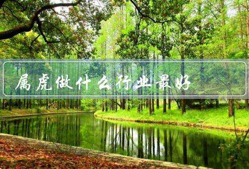 属虎做什么行业最好（创业领域、销售与市场营销、艺术与创作）