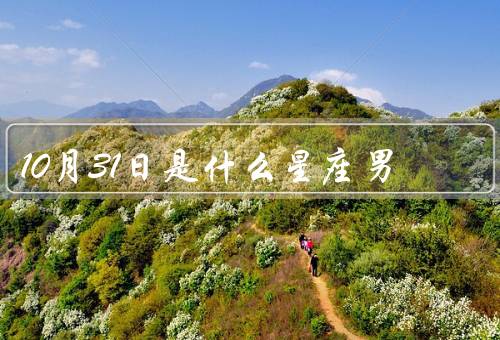 10月31日是什么星座男，个性特点、人际关系、事业与职业