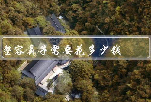 整容鼻子需要花多少钱（整容手术费用、术后护理费用、其他费用）