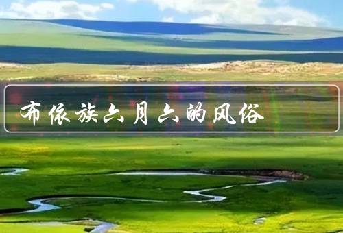 布依族六月六的风俗（祭祖活动／舞龙舞狮／民俗表演）