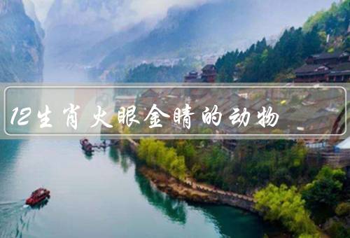 12生肖火眼金睛的动物（龙／凤凰／蛇）