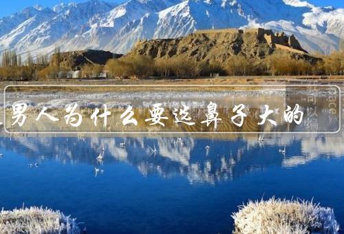 选男人为什么要选鼻子大的（自信心的增加、气质的提升）
