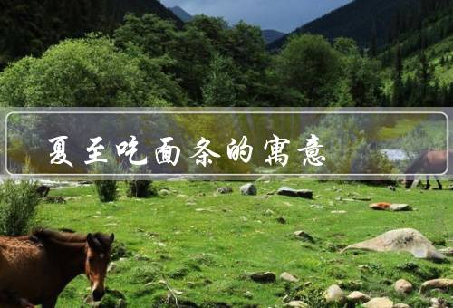 夏至吃面条的寓意，生活的向往／健康的追求／团圆与祈福