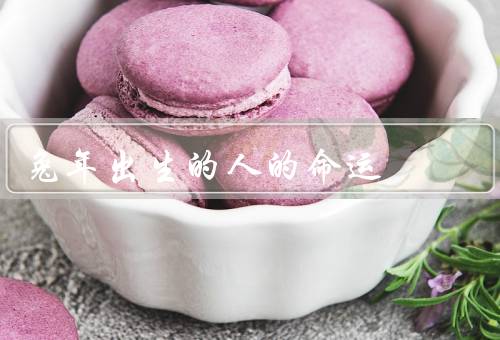 兔年出生的人的命运，聪慧的洞察力／平衡与稳定／适合的工作领域