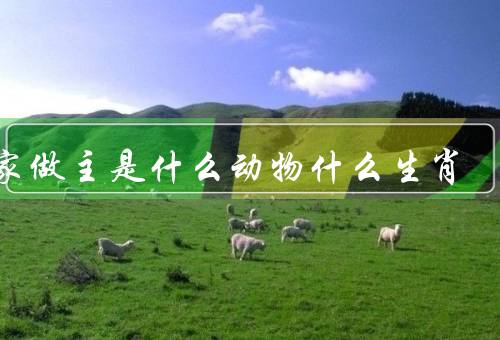 当家做主是什么动物什么生肖，个性特点／在家庭中的角色