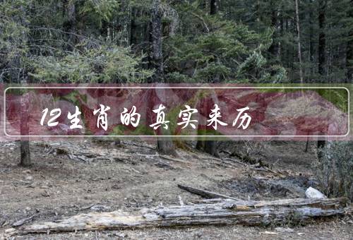12生肖的真实来历，起源／象征意义／应用