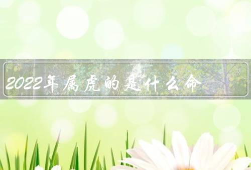 2022年属虎的是什么命（职业发展／财务状况／感情生活）