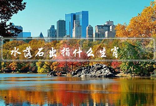 水落石出指什么生肖，鼠／猴／狗
