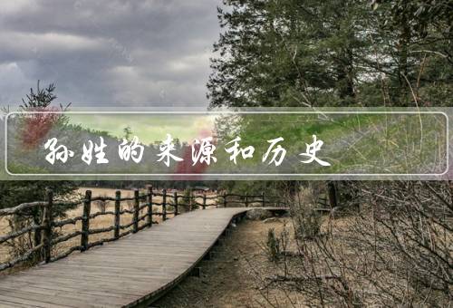 孙姓的来源和历史（来源／历史／现状）