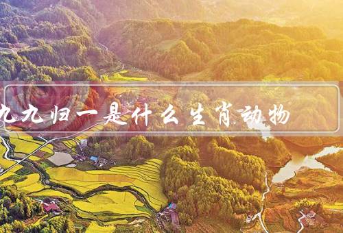 九九归一是什么生肖动物（含义／生肖动物／象征意义）