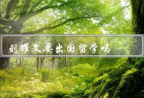 刘耀文要出国留学吗（动机、目标、准备）