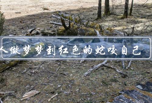 女人做梦梦到红色的蛇咬自己，梦境象征的意义、心理上的解读