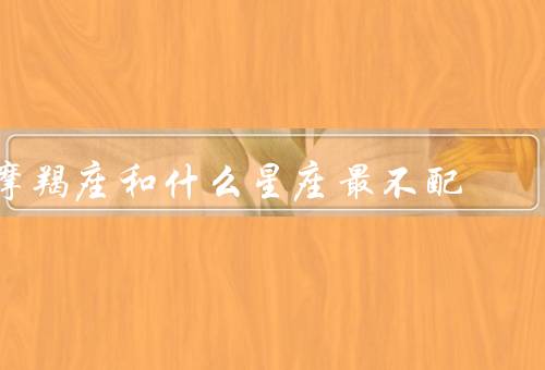 摩羯座和什么星座最不配（稳定性与双子座的变化性格不合）