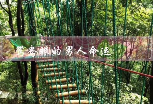 鸳鸯眼的男人命运（与众不同的童年、追逐梦想的坎坷、与爱情的奇遇）