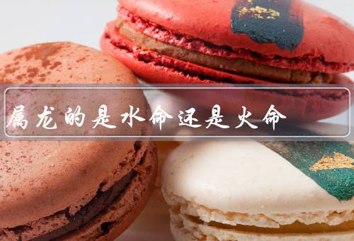 属龙的是水命还是火命，水命、火命、结论