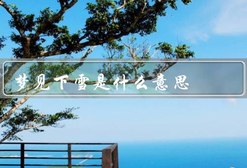 梦见下雪是什么意思，象征意义、心理解读、实际意义