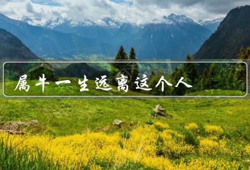 属牛一生远离这个人，性格／价值观／处事方式
