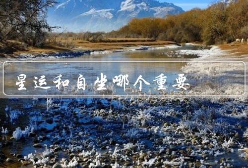 星运和自坐哪个重要，星运／自坐／重要性的比较