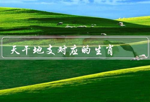天干地支对应的生肖（关系、意义和特点、应用）