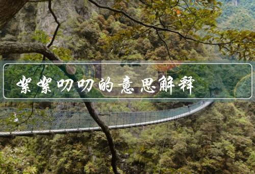 絮絮叨叨的意思解释（特征、原因、如何应对人）