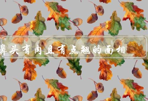 鼻头有肉且有点翘的面相（含义／稍微翘起的意义／且稍微翘起的特点）