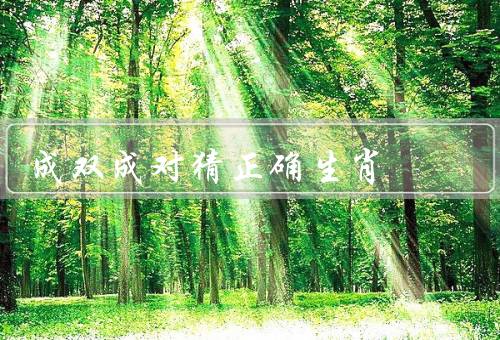 成双成对猜正确生肖，游戏规则、参与方式、相关习俗