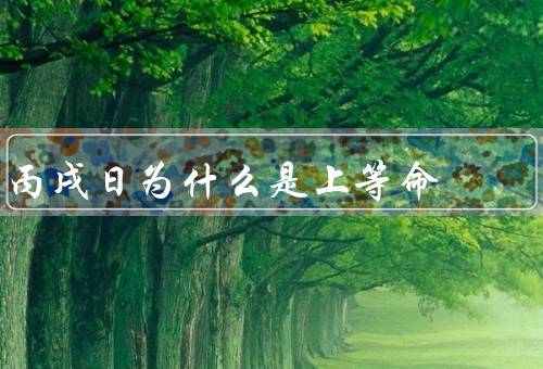 丙戌日为什么是上等命（背景／特征／优势）