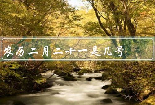 农历二月二十一是几号，历史背景／传统习俗／文化意义